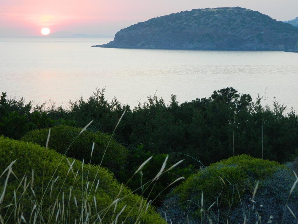 Sounio Palea Heaven Daire Palaiá Fókaia Dış mekan fotoğraf